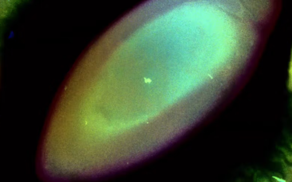 Affective geographies: three works by Natalia Lasalle-Morillo