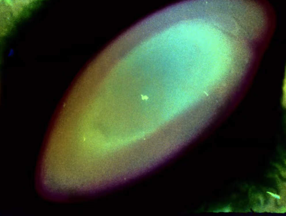 Geografías afectivas: tres obras de Natalia Lasalle - Morillo