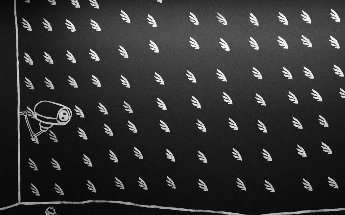 Inauguración exposición «Museo temporal»